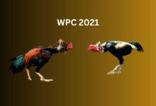 WPC 2021